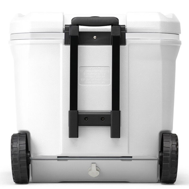 65 qt blanca4