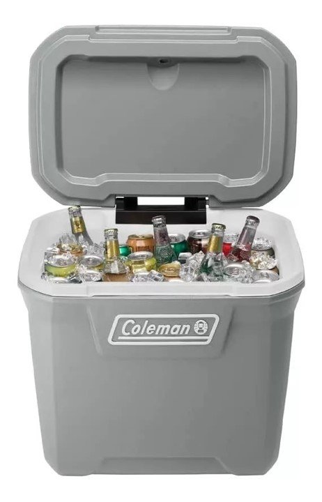 65 qt gris1